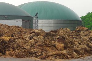 Chicken manure in front of anaerobic digesters.