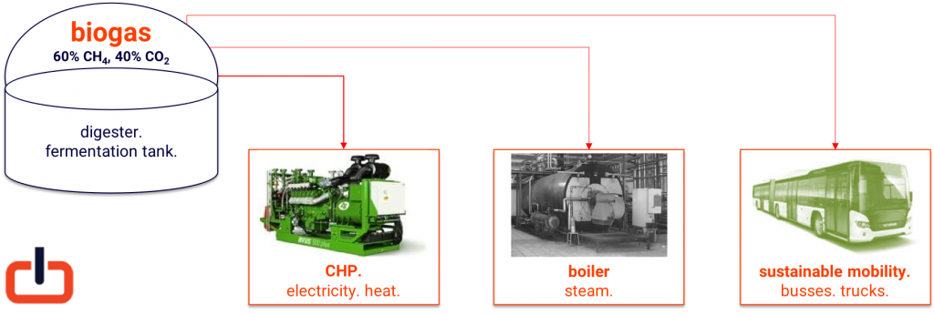 options for biogas use.