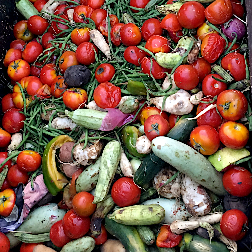 market waste. waste management.
anaerobic digestion is a catalyst for circular organic waste management.