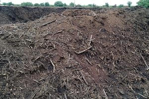 composting of sugarcane. Senegal.