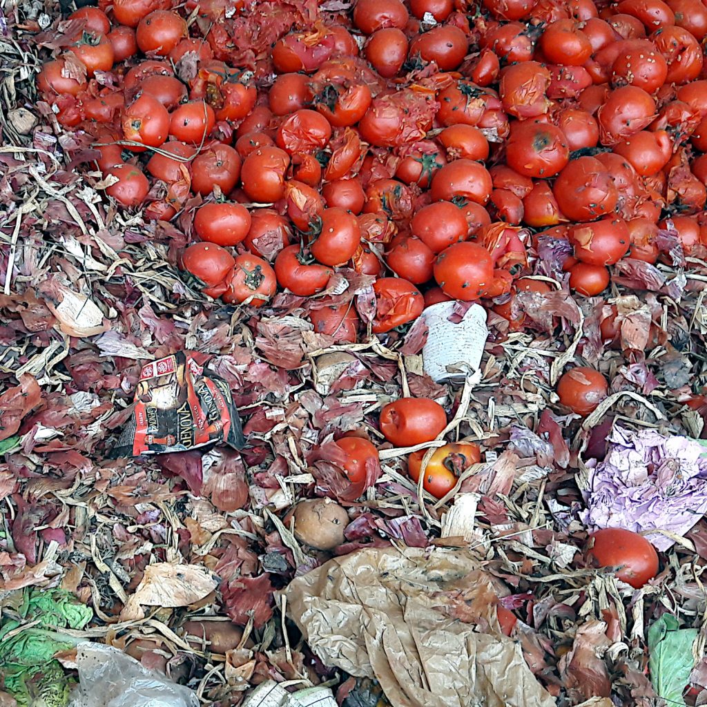 market waste tomatoes