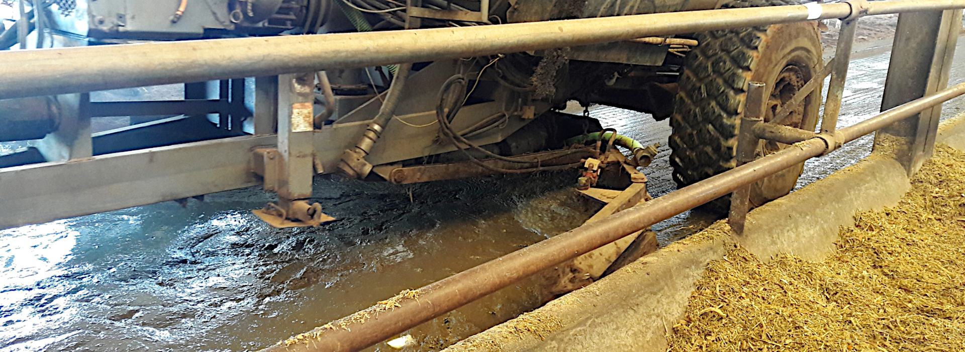 dairy cow slurry to biogas.