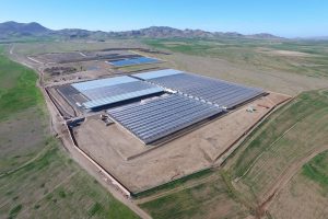 Marrakech - wastewater sludge drying.